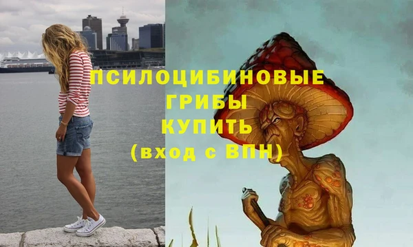 синтетический гашиш Армянск