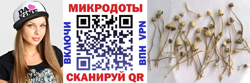 Псилоцибиновые грибы Psilocybine cubensis  Николаевск 